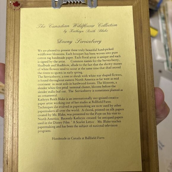 Downy Serviceberry / Canadian Wildflower Framed Signed Kathryn Reith Blake - Picture 7 of 7